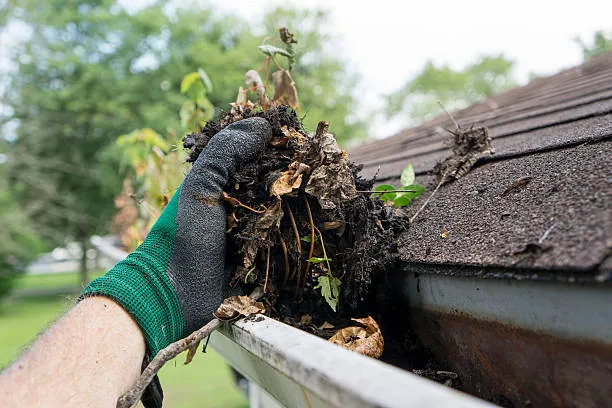 Ultimate Gutter Cleaning